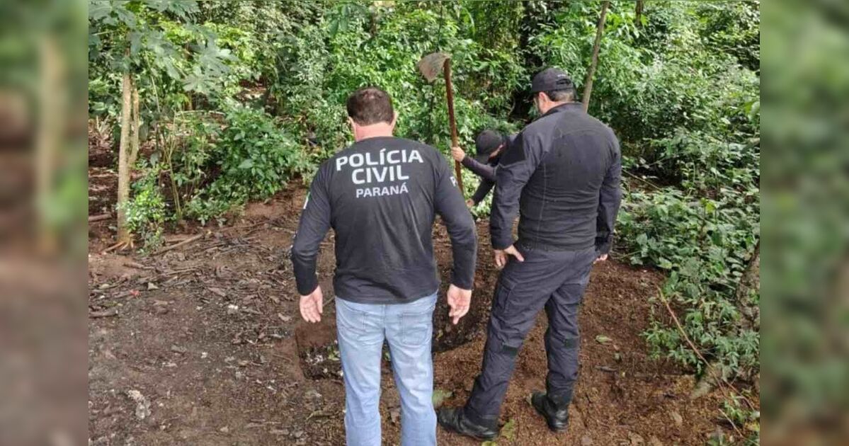imagem