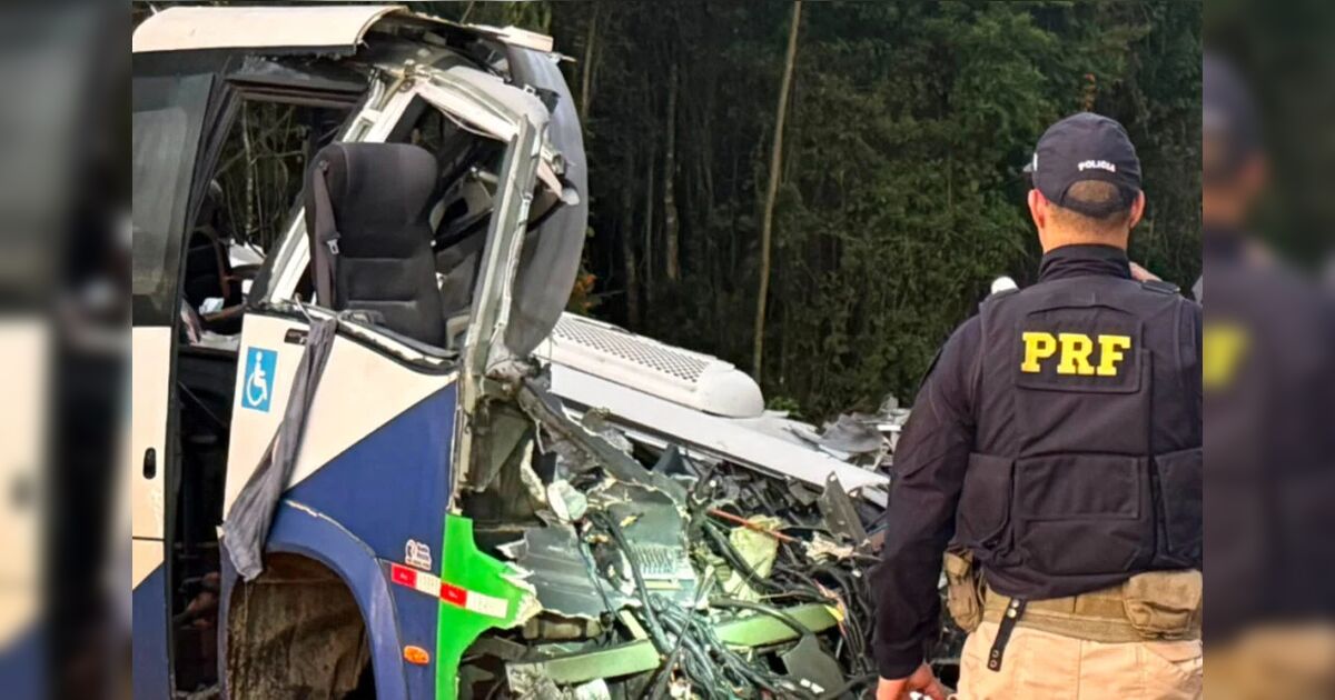 Image for Acidente na BR-373: entre os 23 mortos estão 21 adultos e duas crianças
