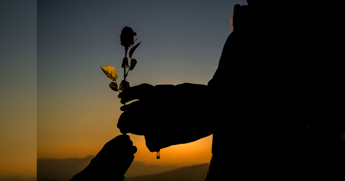 imagem