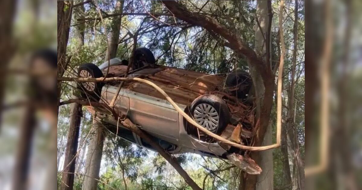 Carro sai da pista e vai parar em cima de árvore após acidente no Norte do Paraná