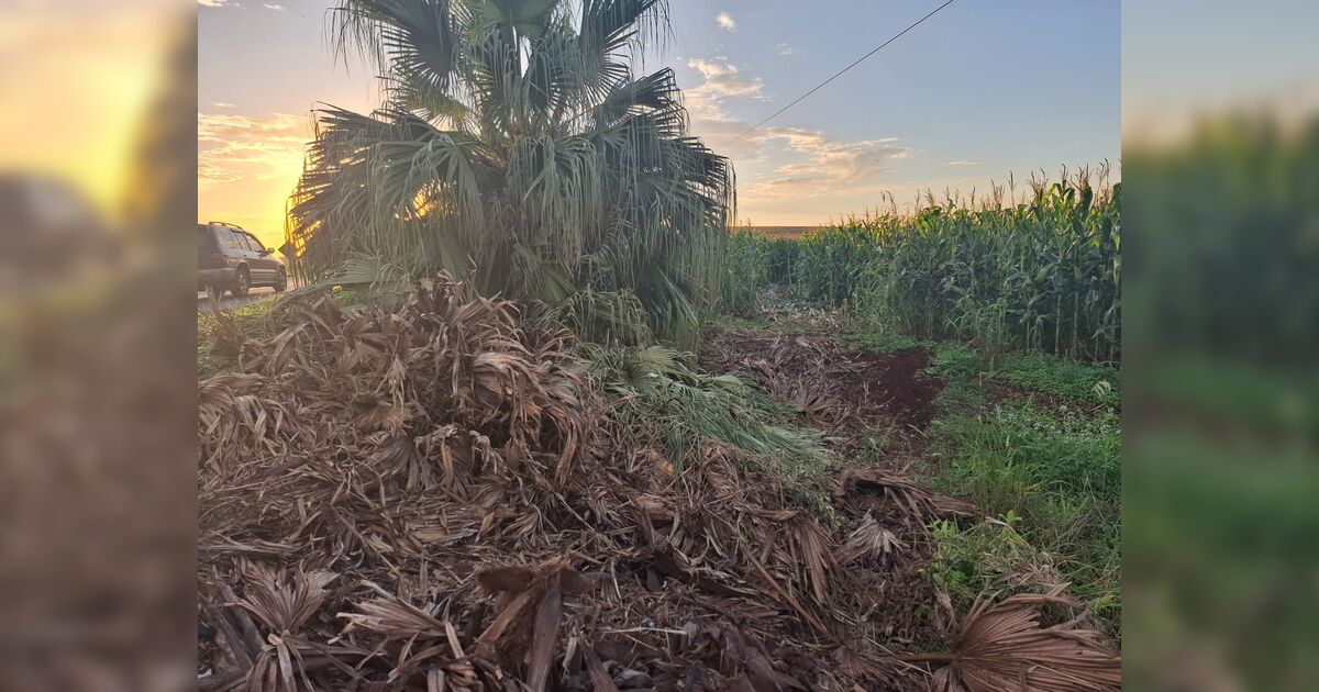 Motorista desaparecido é encontrado morto em acidente na PR-160
