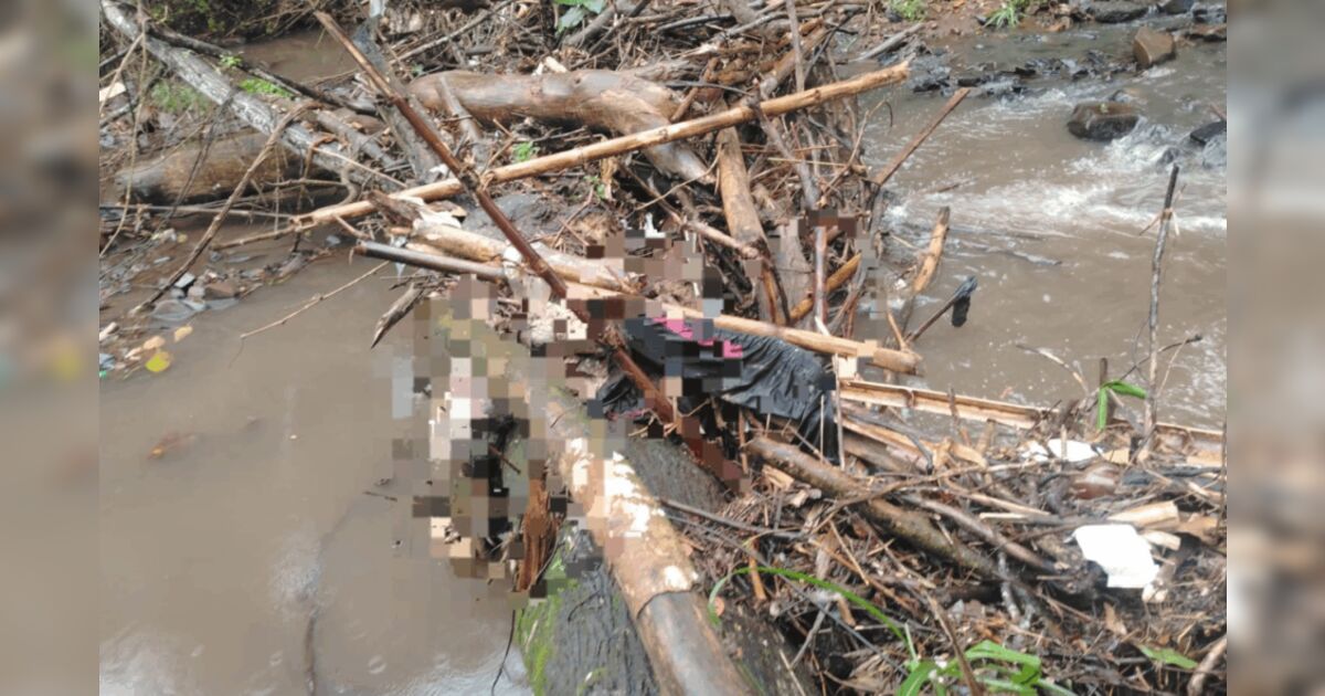 Corpo em decomposição é encontrado em Londrina