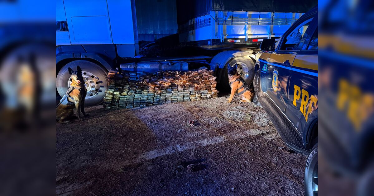 Motorista paraguaio é preso na BR-277 com 298 kg de cocaína em tanque de combustível