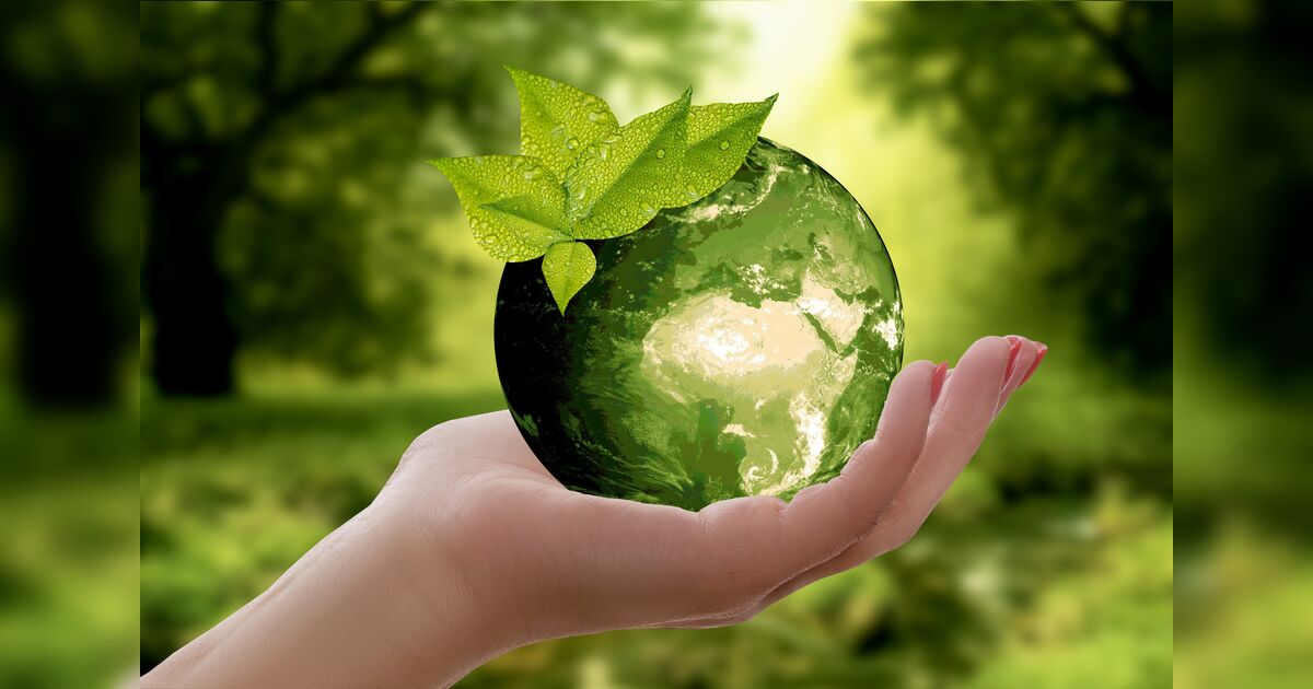 Empresas de Apucarana e região podem concorrer ao Prêmio Top Marca Sustentável 2026