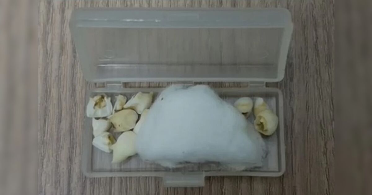 imagem