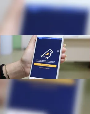 Aplicativo Pardal recebe denúncias de propaganda eleitoral irregular