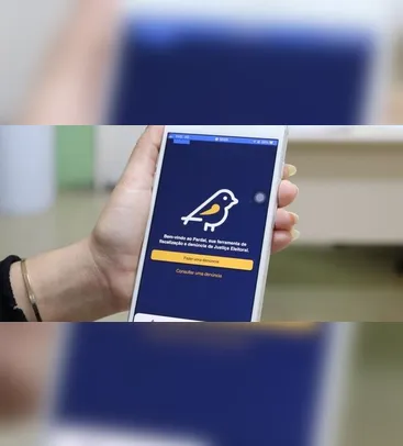Aplicativo Pardal recebe denúncias de propaganda eleitoral irregular
