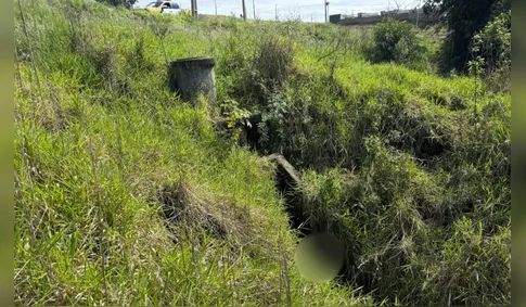 Corpo em decomposição é localizado dentro de galeria pluvial no PR