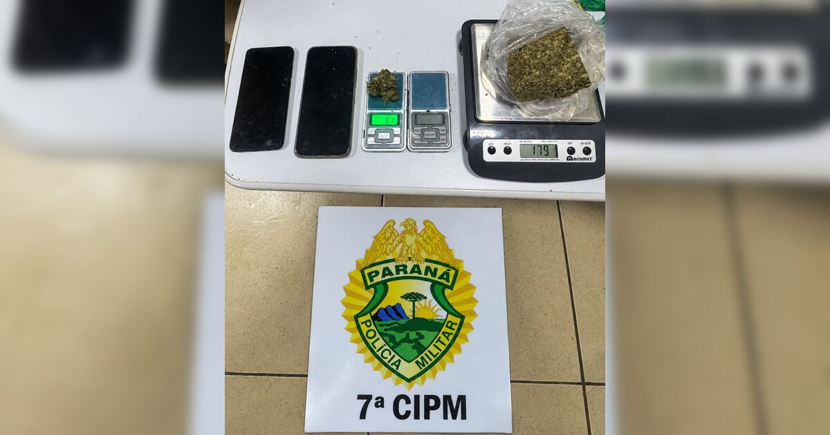 Cão farejador durante operação policial em Arapongas