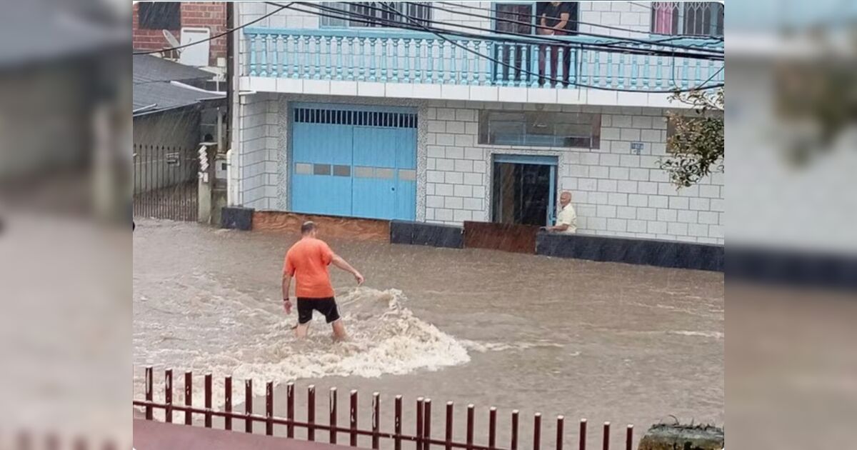 imagem