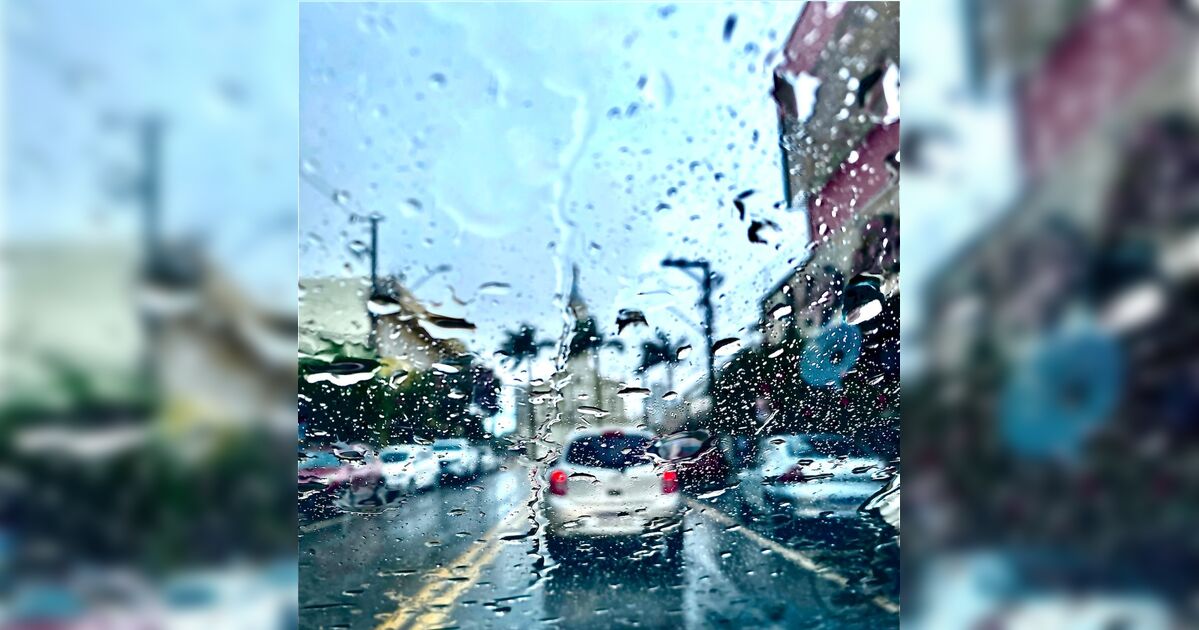 Árvore caída após tempestade em Apucarana