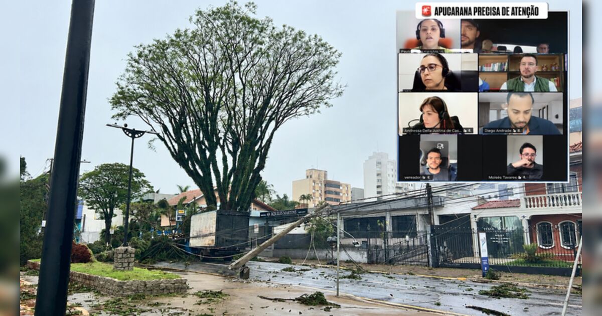 imagem