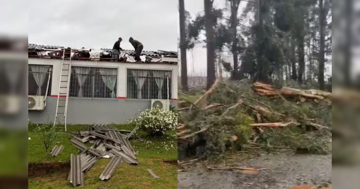Cenas de destruição causadas por tornados em propriedades rurais no Paraná