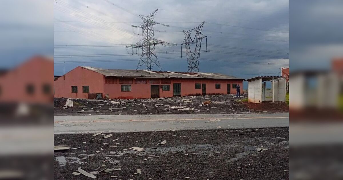 Árvores e casas danificadas por vendaval em Manoel Ribas