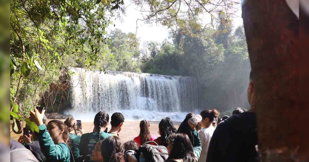 Participantes da caminhada atravessando trilha em Ivaiporã