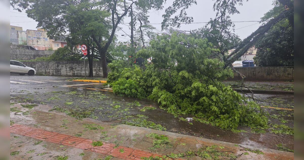 Prefeitura de Apucarana faz alerta contra golpes em doações após temporal