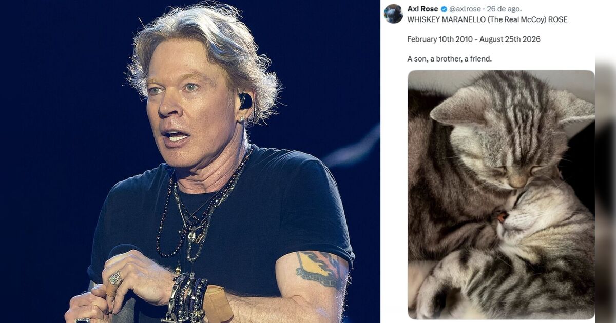 Axl Rose com seu gato whiskey