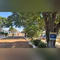 Confira os falecimentos deste sábado (29) em Arapongas
