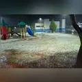 Temporal com granizo muda paisagem de Borrazópolis (PR) e acumula gelo em praça