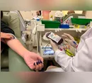 Hemepar reforça necessidade de doações de sangue em todo o Estado