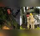 Chuva e ventania derrubam árvores e bloqueiam vias em Apucarana