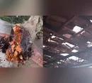 Destelhamentos, quedas de árvore e vias bloqueadas: veja o balanço do temporal em Apucarana