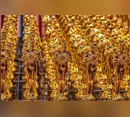 Veja os seis filmes brasileiros que disputam a indicação ao Oscar 2027