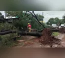 Temporal deixa quase mil casas danificadas em Apucarana, aponta balanço parcial da Defesa Civil