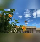Confira os falecimentos deste sábado (21) em Apucarana e região