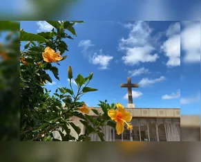 Confira os falecimentos deste sábado (21) em Apucarana e região