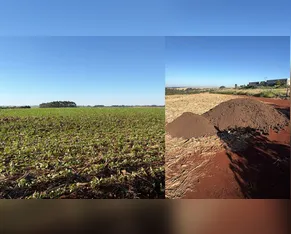 Entenda a origem do mau cheiro que afeta diversas regiões de Apucarana