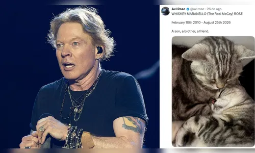 Axl Rose lamenta morte de seu gato Whiskey: 'um filho, um irmão, um amigo'