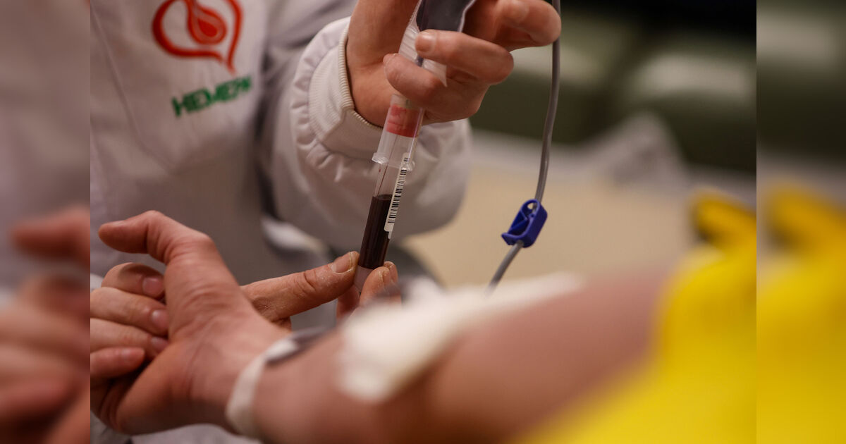 Nova portaria para doação de sangue entra em vigor no Paraná