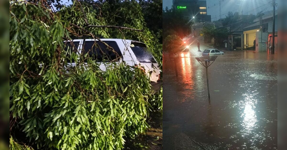 Temporal no Vale do Ivaí causa alagamentos e derruba árvore em carro