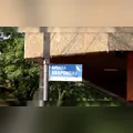 Por que Arapongas tem ruas com nomes de pássaros? A resposta está na política