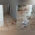 Alvo de depredação, entorno do Lago Municipal receberá câmeras de segurança