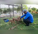 Cemsa investiga abandono de cães e reforça responsabilidade dos tutores
