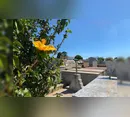 Confira os falecimentos deste sábado (10) em Apucarana