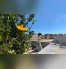 Confira os falecimentos deste sábado (10) em Apucarana