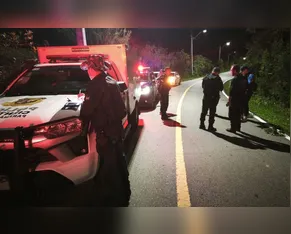Casal vê cachorros às margens de rodovia e encontra corpo de jovem assassinado a tiros
