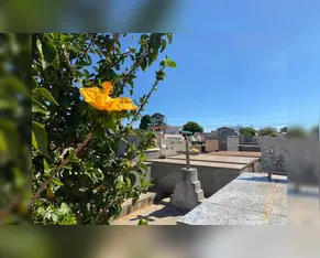 Confira os falecimentos deste sábado (10) em Apucarana