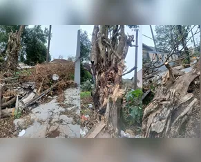 Moradora está há 16 dias sem luz após temporal em Apucarana