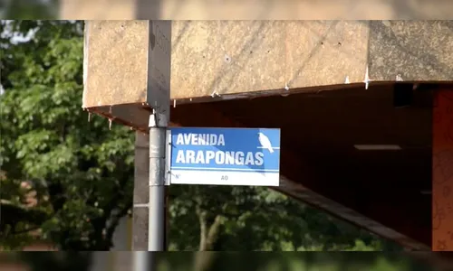 Por que Arapongas tem ruas com nomes de pássaros? A resposta está na política