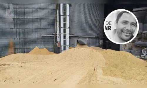 Trabalhador morre soterrado por arroz após cair em silo em SC