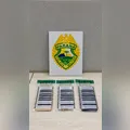 Motorista foge de viatura e polícia apreende adolescente com drogas