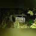 Carro capota e cai em barranco de fundo de vale em Cambé