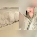 Cozinha de escola municipal do PR é interditada após fiscalização flagrar baratas em freezers