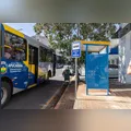 Dez municípios da região de Apucarana vão ofertar transporte gratuito a eleitores