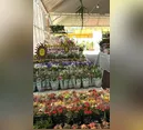 Expoflor começa a partir desta terça-feira em Apucarana com renda destinada a projetos sociais