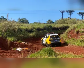 PM faz buscas por suspeito de violência doméstica que fugiu para área de mata em Apucarana